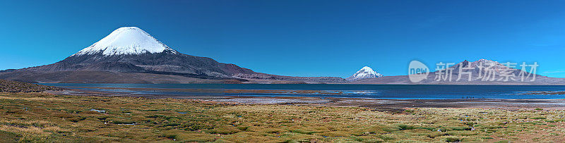 智利劳卡国家公园的帕里纳科塔火山 36MPix XXXXL 全景